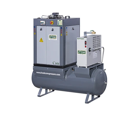 Frank Trident Dryspell refrigerated air dryer mounted on a Mute 10-20 TM CDF screw compressor
