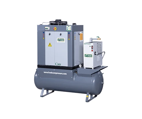 Frank Mute 10-20 TM CDF screw air compressor with Trident Dryspell air dryer and receiver
