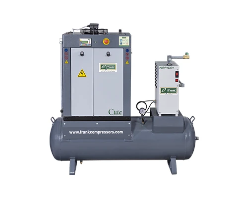 Front view of Frank Mute 10-20 TM CDF Trident Dryspell screw compressor with control panel
